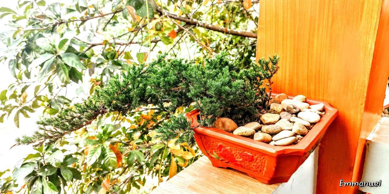 דירות פונג נה Ngoc'S Garden House מראה חיצוני תמונה